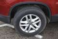 Volkswagen Tiguan Tiguan 2.0 TDI 4MOTION*Sport *AHK*66 TKM* Rot - thumbnail 13