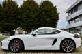 Porsche Cayman 981 S 3.4 325cv pdk SCARICO, PRIMA VERNICE Blanc - thumbnail 3