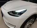 Tesla Model Y Long Range Dual AWD Weiß - thumbnail 5