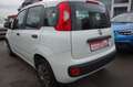Fiat Panda 1.2 8V Easy Klima Weiß - thumbnail 8