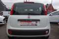 Fiat Panda 1.2 8V Easy Klima Weiß - thumbnail 7