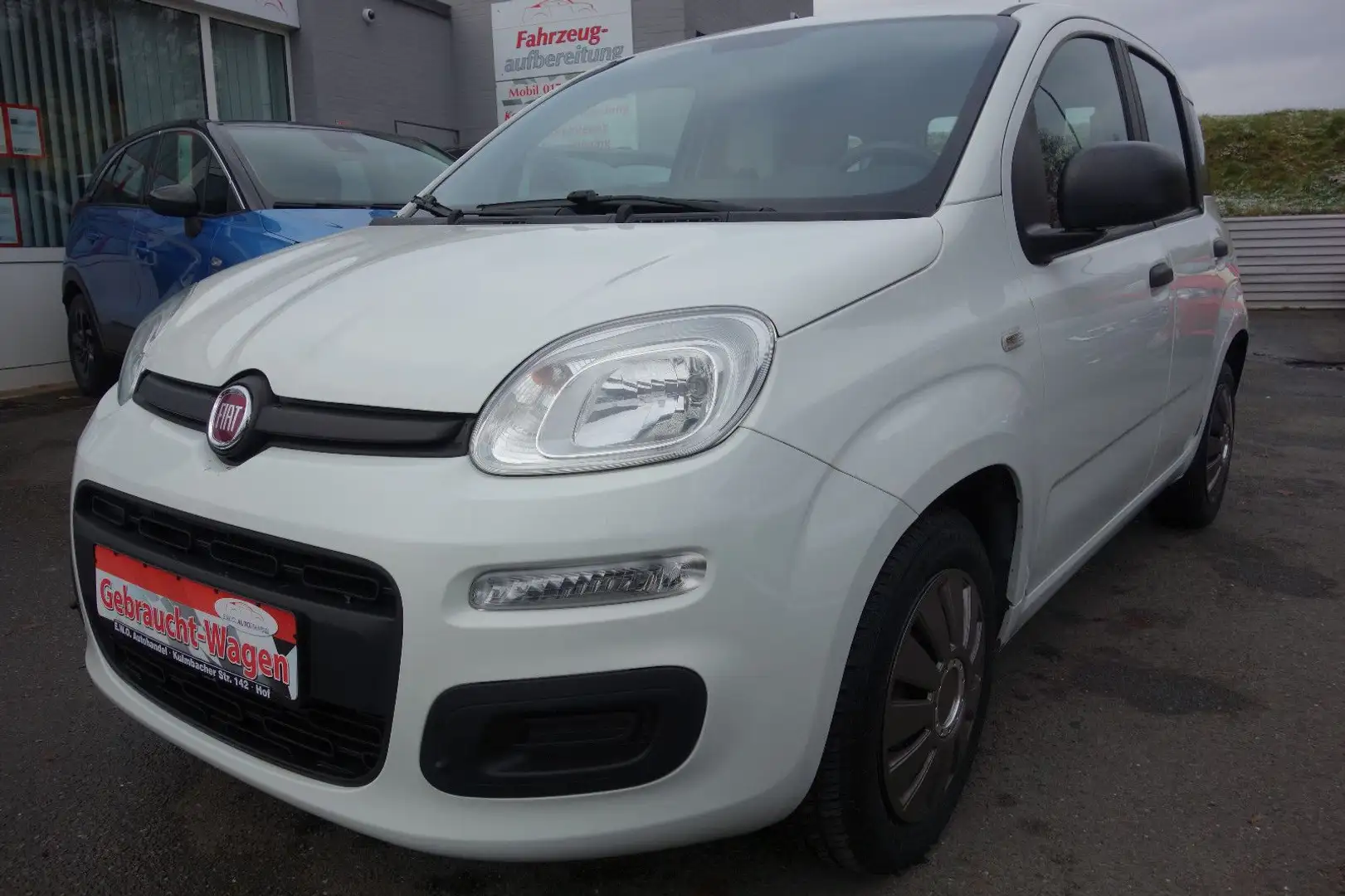 Fiat Panda 1.2 8V Easy Klima Weiß - 1