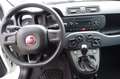 Fiat Panda 1.2 8V Easy Klima Weiß - thumbnail 25
