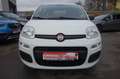 Fiat Panda 1.2 8V Easy Klima Weiß - thumbnail 2