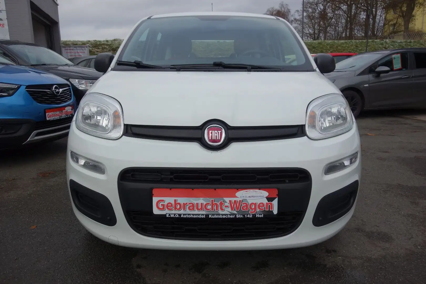 Fiat Panda 1.2 8V Easy Klima Weiß - 2