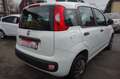 Fiat Panda 1.2 8V Easy Klima Weiß - thumbnail 5