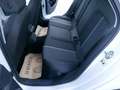 Audi A1 25 TFSI basis LED APPCONNECT 8 fach bereift Weiß - thumbnail 8