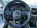 Audi A1 25 TFSI basis LED APPCONNECT 8 fach bereift Weiß - thumbnail 15