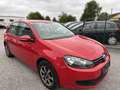 Volkswagen Golf Highline 1,6 TDI DPF Rot - thumbnail 2