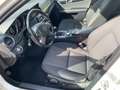 Mercedes-Benz C 200 CDI DPF (BlueEFFICIENCY) Navi, Klimaautomatik, Alu Biały - thumbnail 8