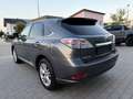 Lexus Sonstige LX 450 Hybrid Leder Navi Klima Alu Xen Grau - thumbnail 2