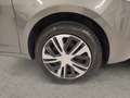 Lancia Ypsilon Ypsilon 1.2 69 CV 5 porte Elefantino - thumbnail 5