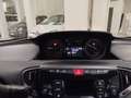Lancia Ypsilon Ypsilon 1.2 69 CV 5 porte Elefantino - thumbnail 9