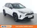 Toyota RAV 4 2.5 Hybrid 4x4 Style Weiß - thumbnail 8