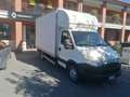 Iveco Daily CENTINATO CHIUSO Bianco - thumbnail 1