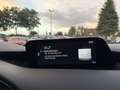 Mazda 3 SKYACTIV-G2.0 M Hybrid,Selection, LEDER, BOSE, 360 Grau - thumbnail 22