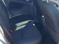 Ford Focus 2.0TDCi Titanium Powershift Gris - thumbnail 14