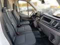 Ford Transit 350 L3H2 Lkw HA Trend *NAVI*KLIMA*AHK* Weiß - thumbnail 11