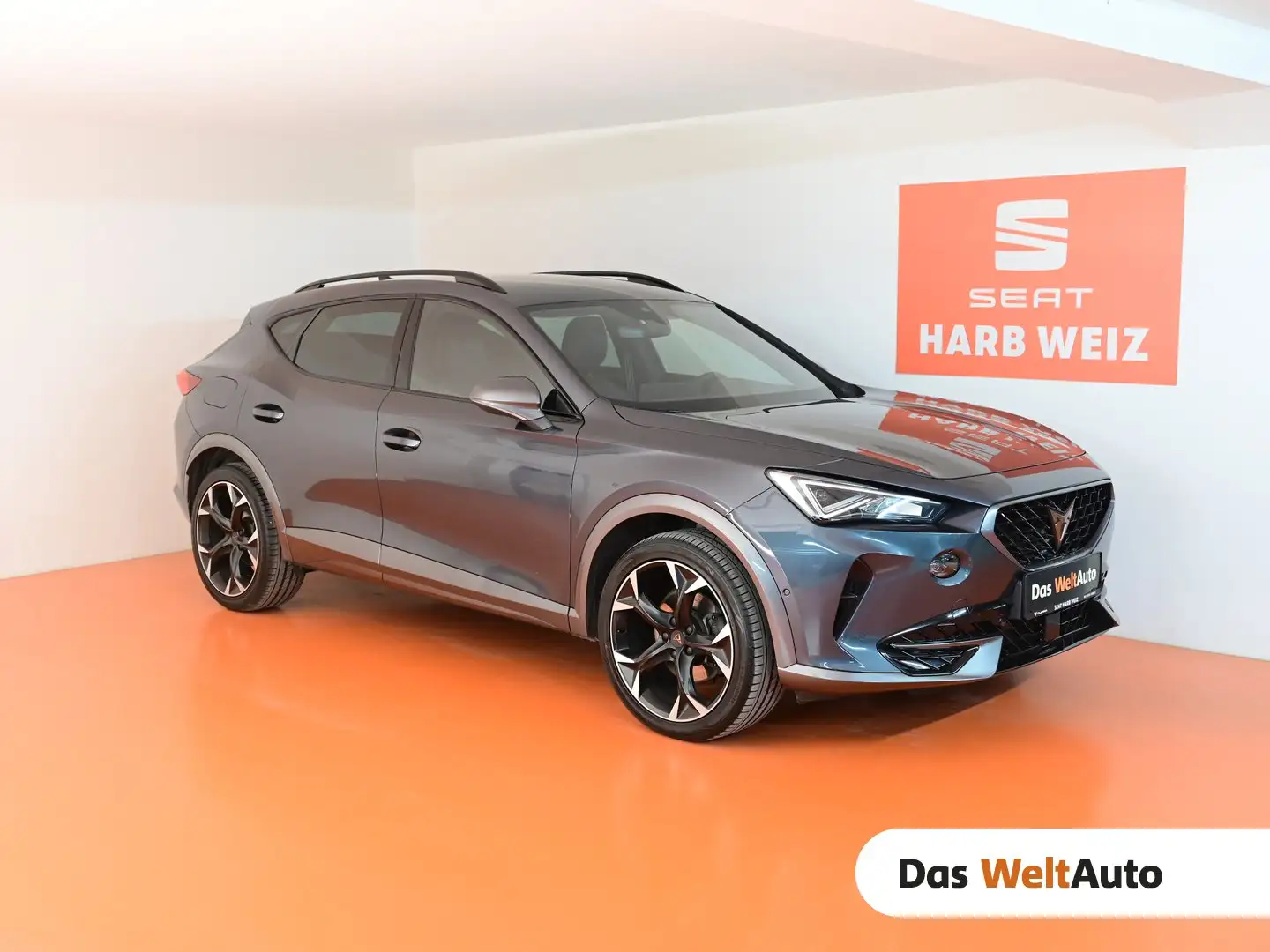 CUPRA Formentor 2.0 TSI 190 PS DSG 4Drive Grau - 1