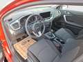 Kia Ceed / cee'd Kia ceed SW 1,0 T-GDI GPF ISG Silber Rot - thumbnail 10