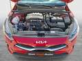 Kia Ceed / cee'd Kia ceed SW 1,0 T-GDI GPF ISG Silber Rot - thumbnail 31