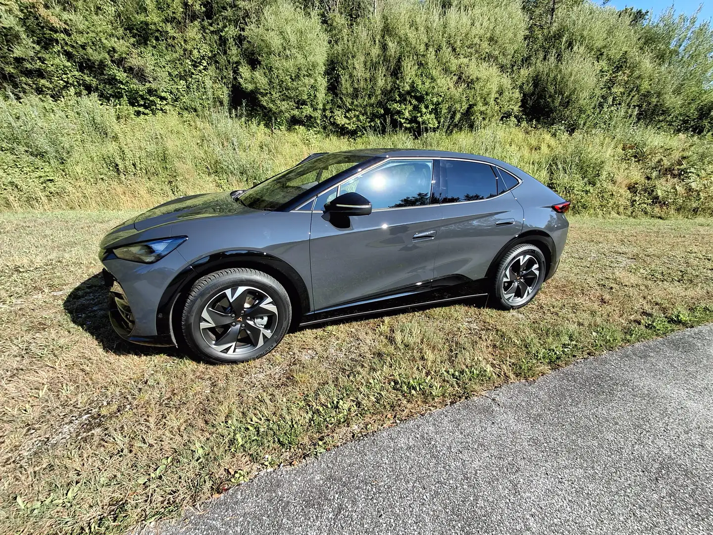 CUPRA Tavascan Tavascan 77kWh Base (Endurance) Grau - 2