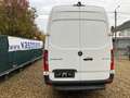 Mercedes-Benz Sprinter 317 36.500 € + BTW / L4H2 L4 H2 XXL Extra LANG Weiß - thumbnail 4