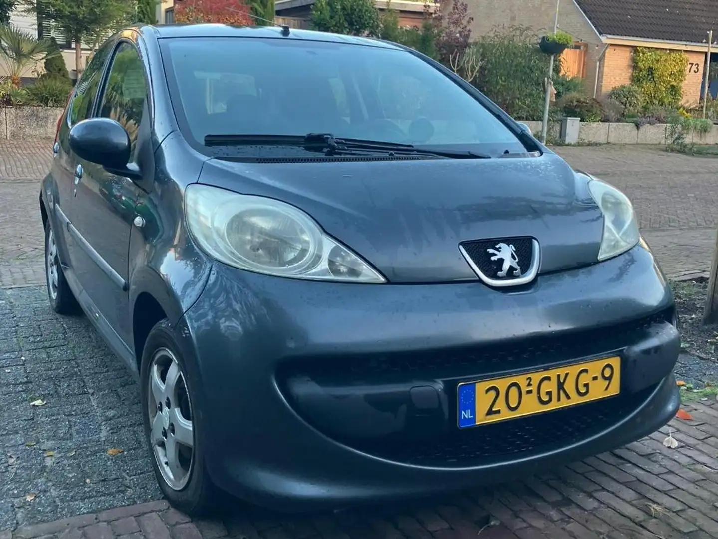 Peugeot 107 107 1.0-12V XS Grey - 1