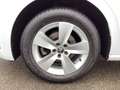 Skoda Scala 1.0 TSI Cool Plus/ALU/DAB/LED/PDC/App/SHZ Weiß - thumbnail 15