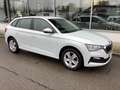 Skoda Scala 1.0 TSI Cool Plus/ALU/DAB/LED/PDC/App/SHZ Weiß - thumbnail 16