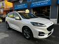 Ford Kuga Kuga III 2020 1.5 ecoblue ST-Line X 2wd 120cv auto - thumbnail 1