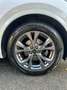 Ford Kuga Kuga III 2020 1.5 ecoblue ST-Line X 2wd 120cv auto - thumbnail 11