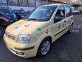 Fiat Panda 1.2 Dynamic Giallo - thumbnail 1