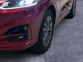 Ford Kuga PHEV ST-Line X *PANORAMAD.*ASSISTENZPKT.*WINTERPKT Rouge - thumbnail 6