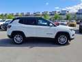 Jeep Compass Compass 1.3 turbo t4 phev 4xe at6 LIMITED Wit - thumbnail 3