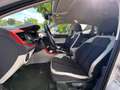 Volkswagen Polo BeatsSOUND/SPORT Weiß - thumbnail 17
