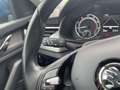 Skoda Kamiq Clever 1.0 TSI, AHK, GRA, CarPlay Blu/Azzurro - thumbnail 17