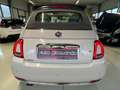 Fiat 500 Cabrio Collezione Sport Edition -Wenig Km Weiß - thumbnail 9