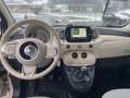 Fiat 500 Cabrio Collezione Sport Edition -Wenig Km Weiß - thumbnail 14