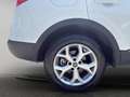 Renault Kadjar 1.5 blue dci Sport Edition 115cv Wit - thumbnail 21