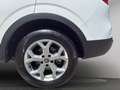 Renault Kadjar 1.5 blue dci Sport Edition 115cv Wit - thumbnail 20
