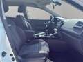 Renault Kadjar 1.5 blue dci Sport Edition 115cv Wit - thumbnail 19