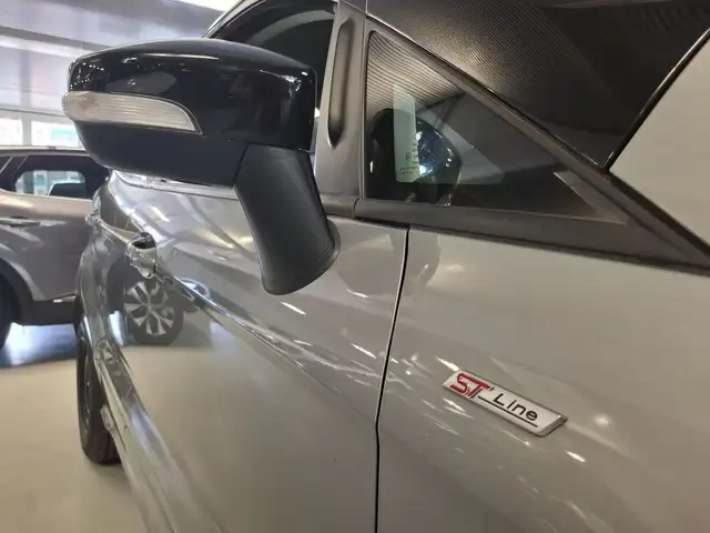 Ford Ecosport view 8