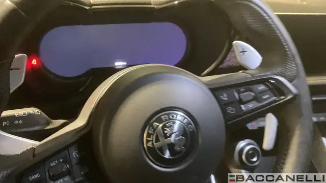 Alfa Romeo Tonale view 17