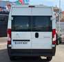 Citroen Jumper 35 L2H2 HDi 130 Blanco - thumbnail 3