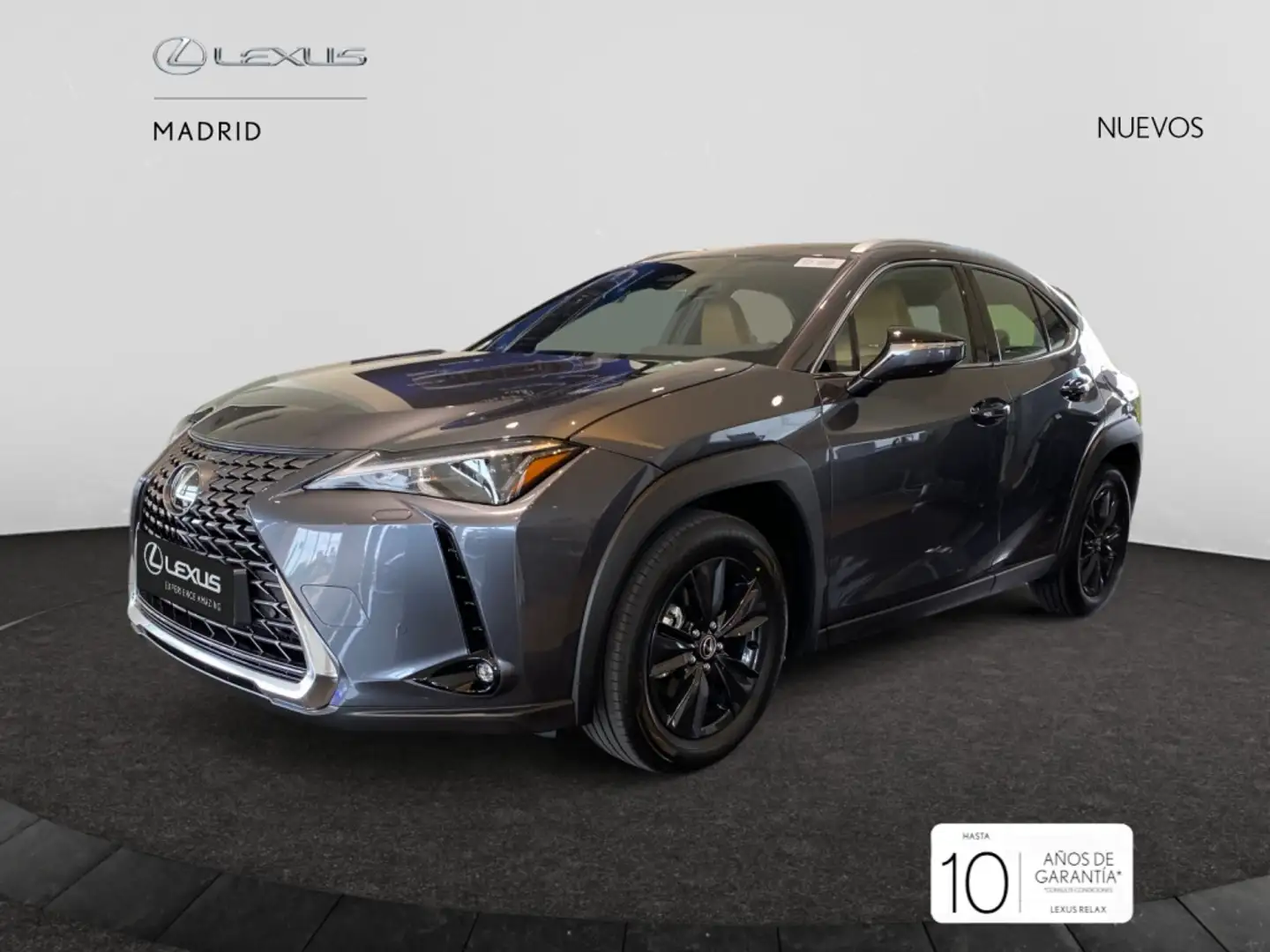 Lexus UX 300h + Gris - 2
