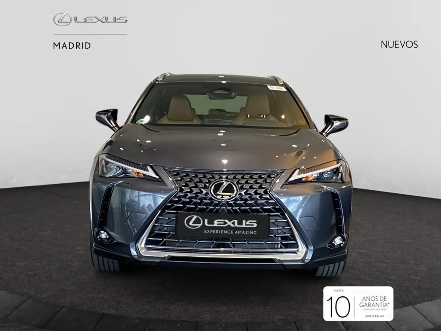 Lexus UX 300h + Gris - 1