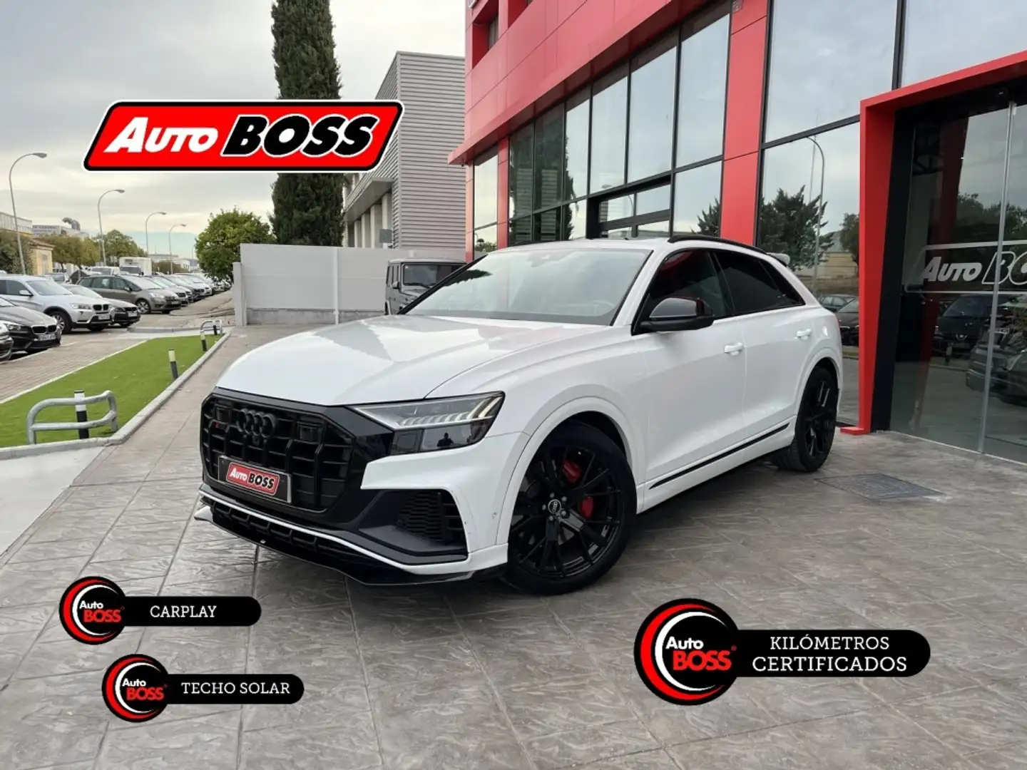 Audi SQ8 4.0 TDI quattro tiptronic Blanco - 1