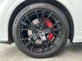 Audi SQ8 4.0 TDI quattro tiptronic Blanco - thumbnail 11