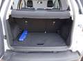 Ford EcoSport Active Bianco - thumbnail 14